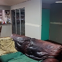 7Goldsworthy UL Lounge 2017FEB19 002  .....  installed a new solid core front door ..... : 7 Goldsworthy Street, Townsville, QLD, Australia, Lounge Room, Interior, Fitzy's Poverty Palaces, 2017, February